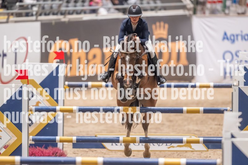 20231013-212110-214N-DSC_0456