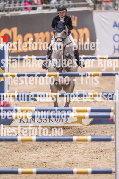 20231013-212337-214N-DSC_0537