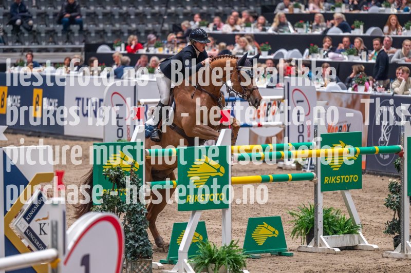 20231013-213005-DSC_7506