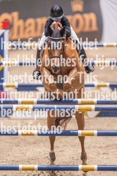 20231013-213032-214N-DSC_1161