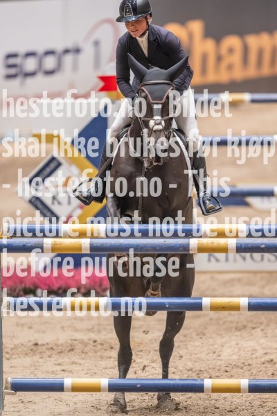 20231013-213249-214N-DSC_1354