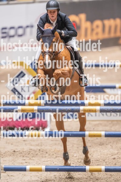 20231013-213930-214N-DSC_1996