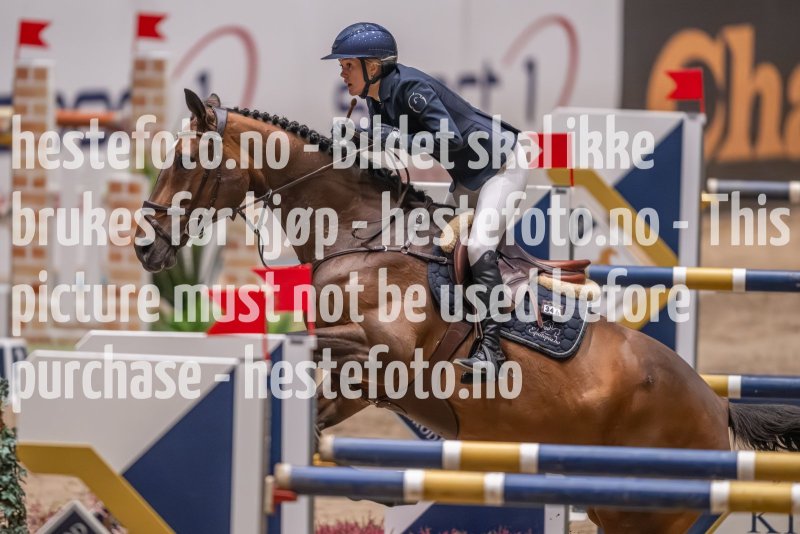 20231013-214508-214N-DSC_2535