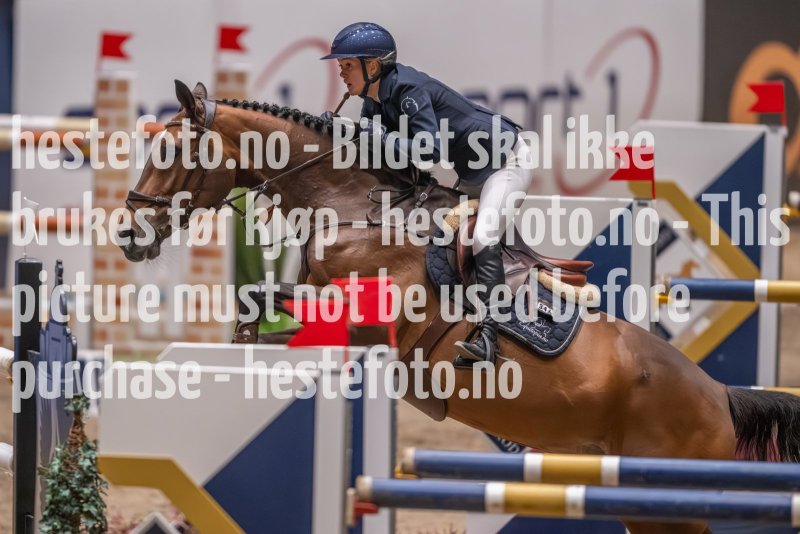20231013-214508-214N-DSC_2536