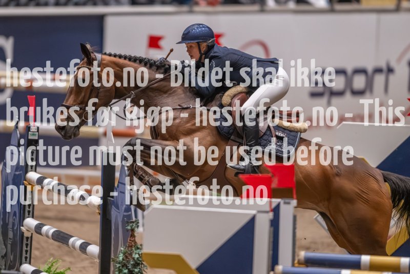20231013-214508-214N-DSC_2538