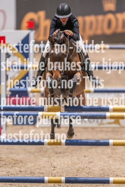 20231013-215303-214N-DSC_3378