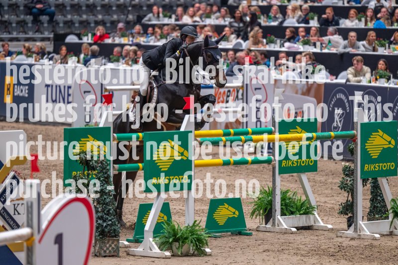 20231013-215458-DSC_8082