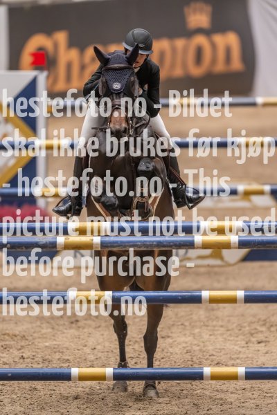 20231013-215525-214N-DSC_3582