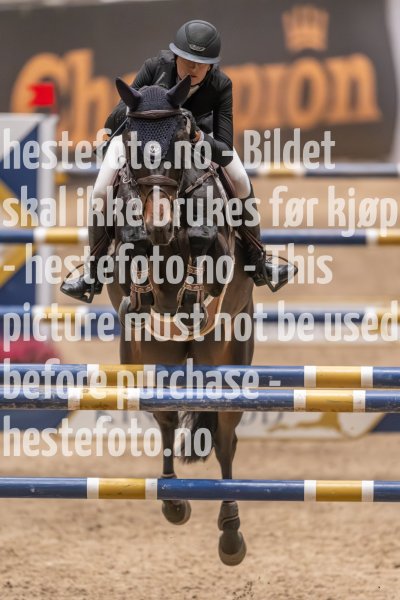 20231013-215525-214N-DSC_3585