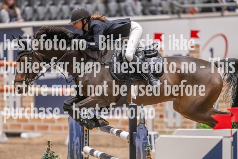 20231013-220211-214N-DSC_3699