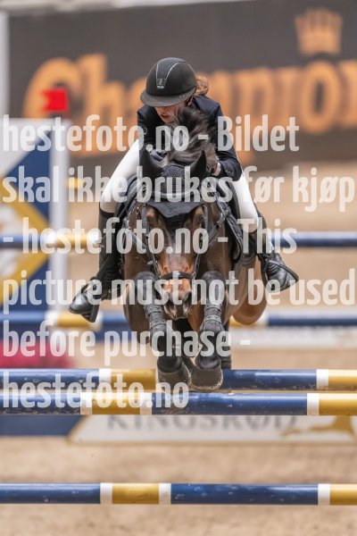 20231013-220333-214N-DSC_3820