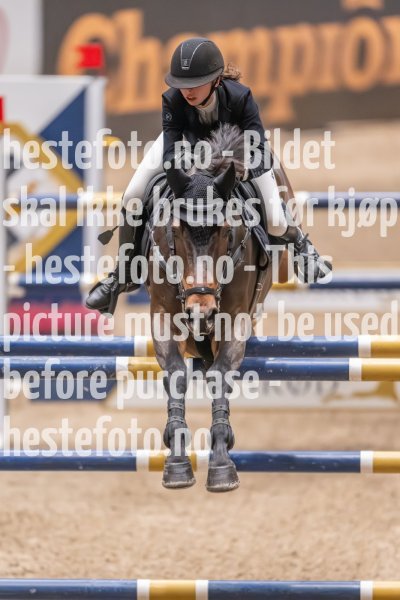 20231013-220333-214N-DSC_3822