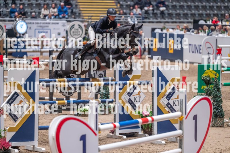 20231013-220601-DSC_8212