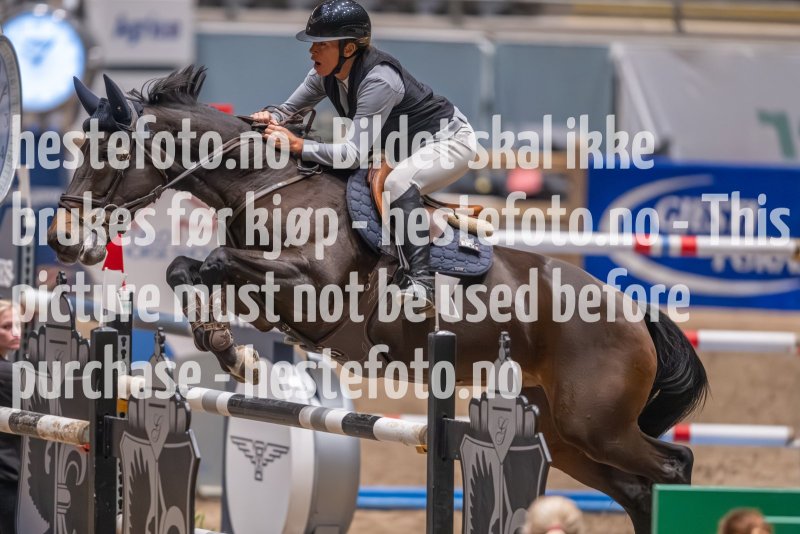 20231013-220711-214N-DSC_4087