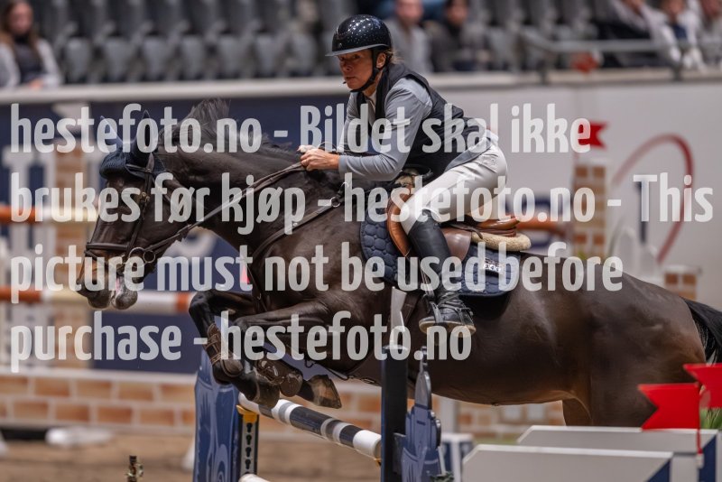 20231013-220712-214N-DSC_4103