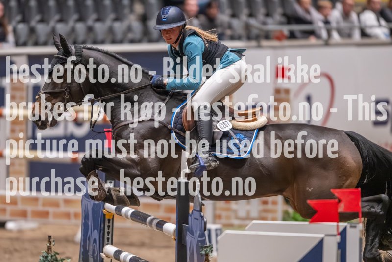 20231013-221151-214N-DSC_4614