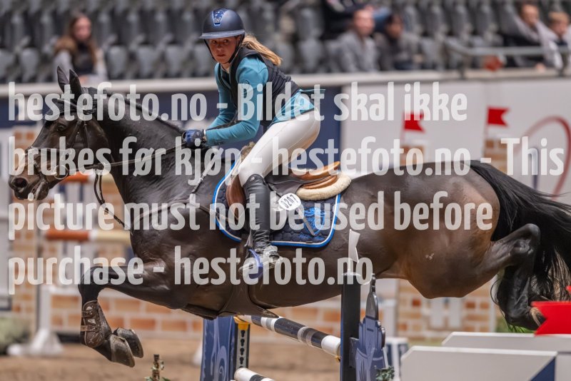 20231013-221151-214N-DSC_4616