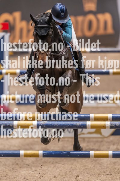 20231013-221245-214N-DSC_4754