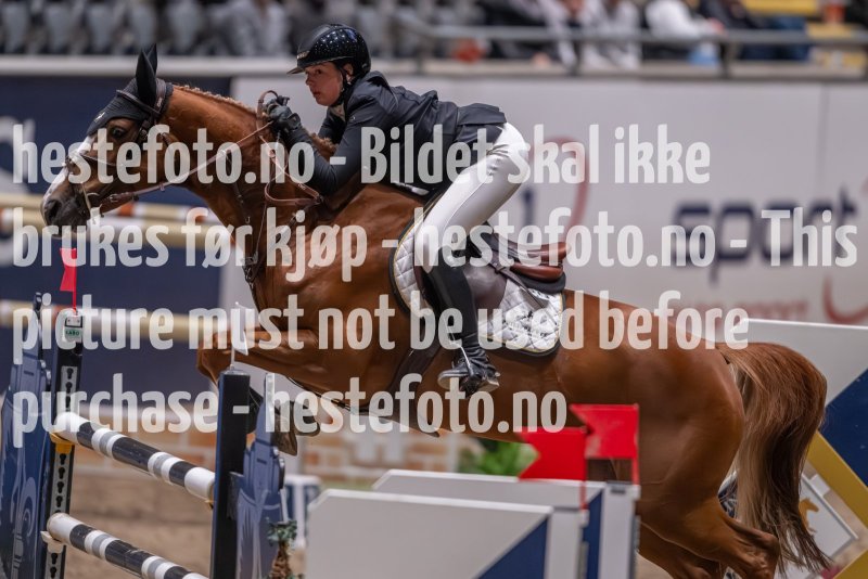 20231013-221350-214N-DSC_4860