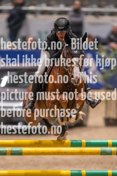 20231013-221415-214N-DSC_4907