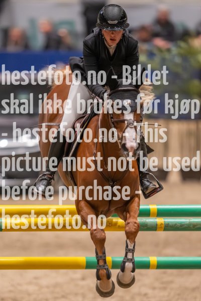 20231013-221416-214N-DSC_4912