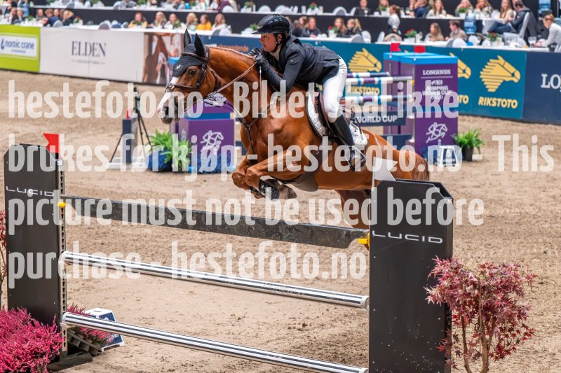 20231013-221423-DSC_8402