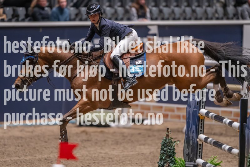 20231013-221607-215N-DSC_5094