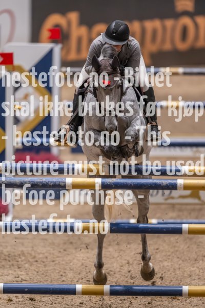 20231013-221904-215N-DSC_5440