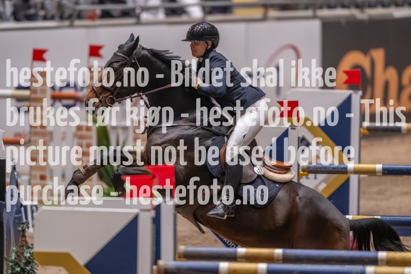 20231013-222436-215N-DSC_6003