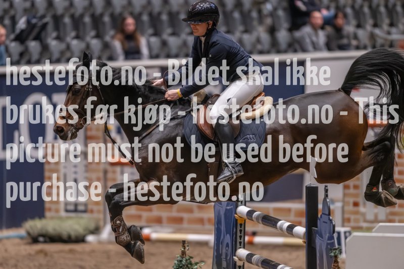 20231013-222436-215N-DSC_6011