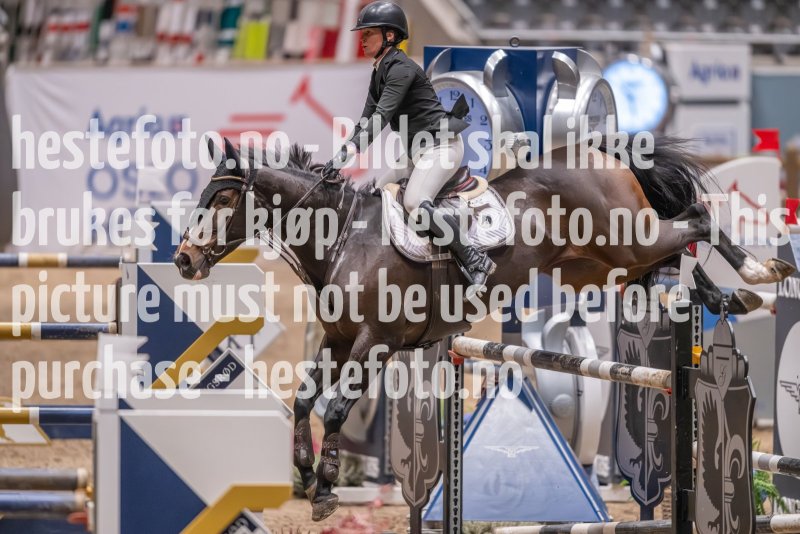 20231013-222837-215N-DSC_6408