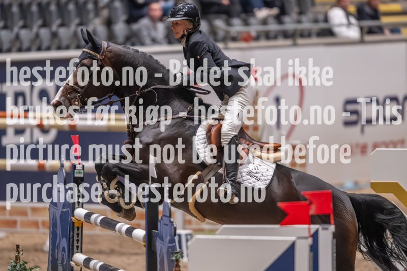 20231013-223058-215N-DSC_6662