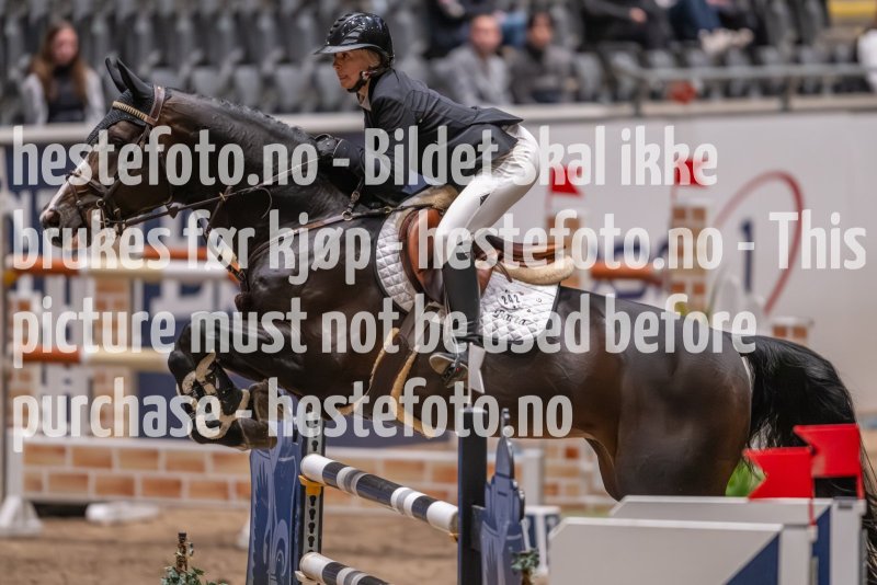 20231013-223058-215N-DSC_6664