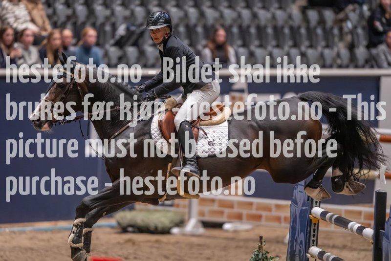 20231013-223058-215N-DSC_6669