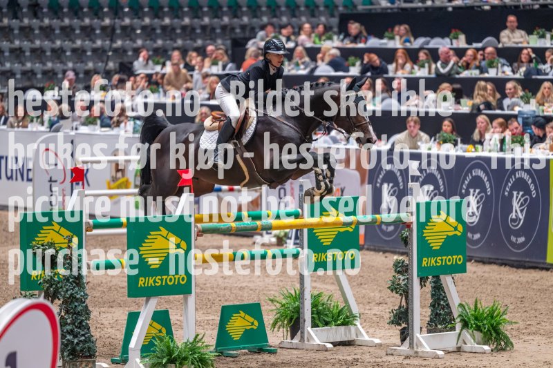 20231013-223129-DSC_8720