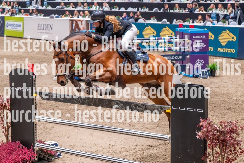 20231013-223612-DSC_8786