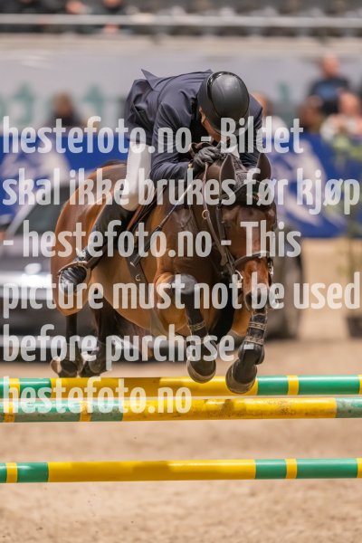 20231013-224035-215N-DSC_7604