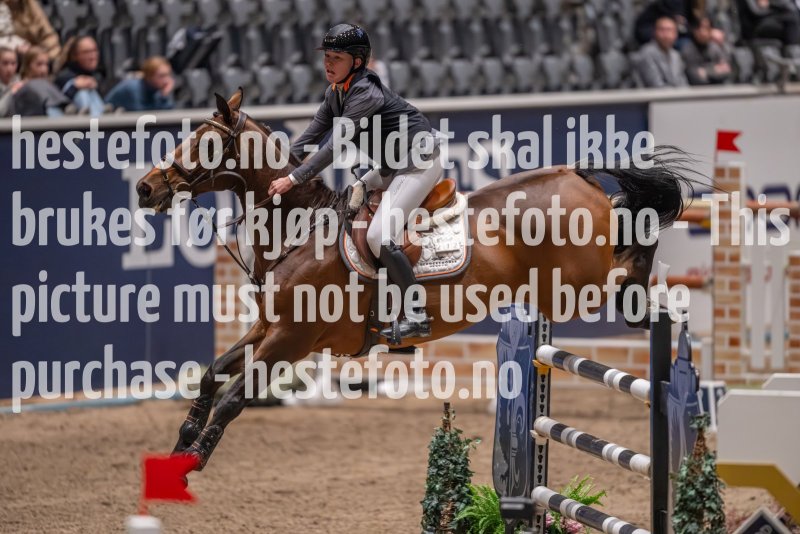 20231013-224241-215N-DSC_7829