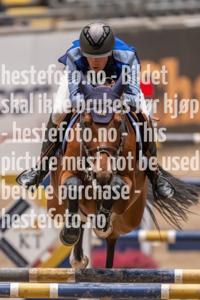 20231013-224531-215N-DSC_8153