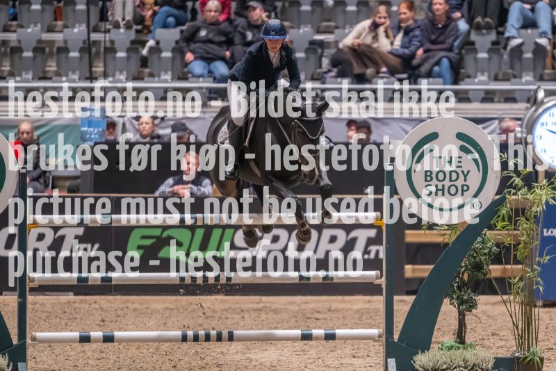 20231013-224920-215N-DSC_8541
