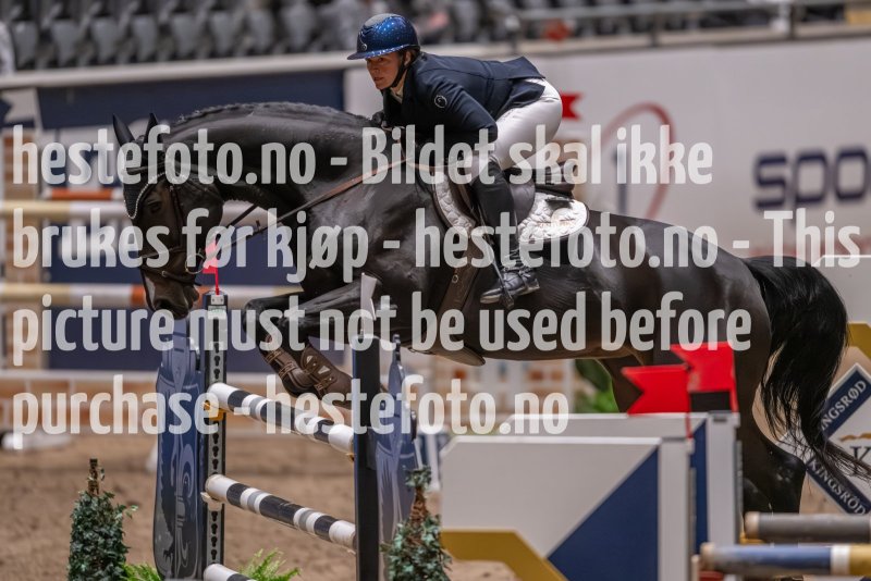 20231013-224925-215N-DSC_8586