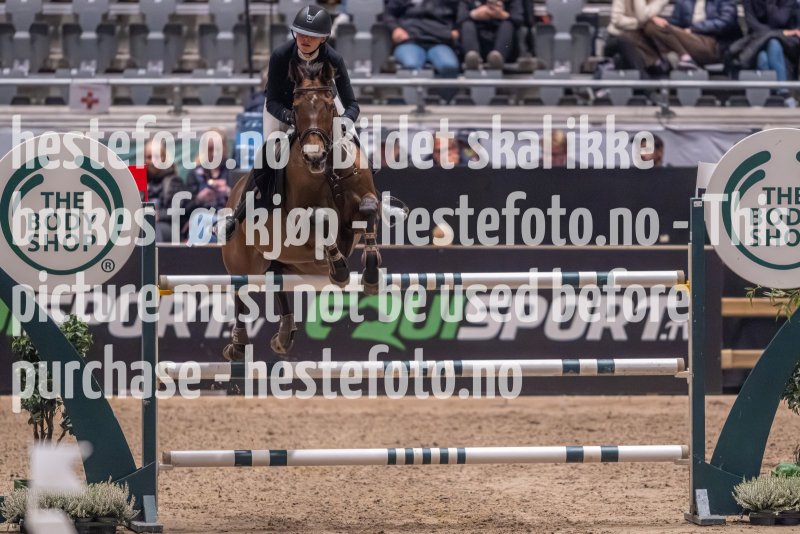 20231013-225122-215N-DSC_8838