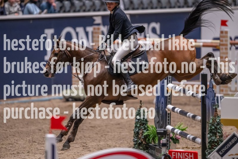 20231013-225128-215N-DSC_8892