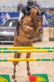 20231013-213003-214N-DSC_1077