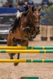 20231013-214534-214N-DSC_2581