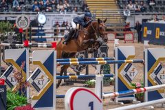 20231013-214603-DSC_7901