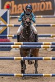 20231013-221244-214N-DSC_4752