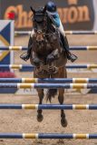 20231013-221245-214N-DSC_4753