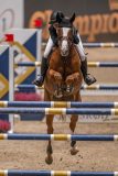 20231013-221443-214N-DSC_4979