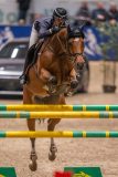 20231013-221635-215N-DSC_5135